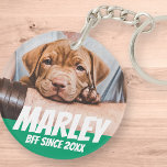 Pet BFF, bästa vän Foto Modern Coola enkel<br><div class="desc">Utformningen är enkel med en enkel bakgrund i färg och sans serif-typografi för ett superhjälte-utseende.</div>
