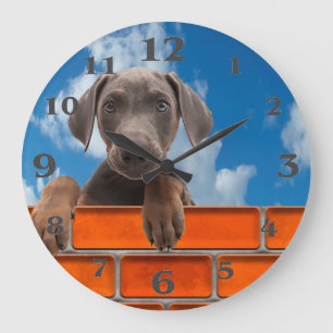 Pet-bild för Round-Large-Wall-Clock Stor Klocka
