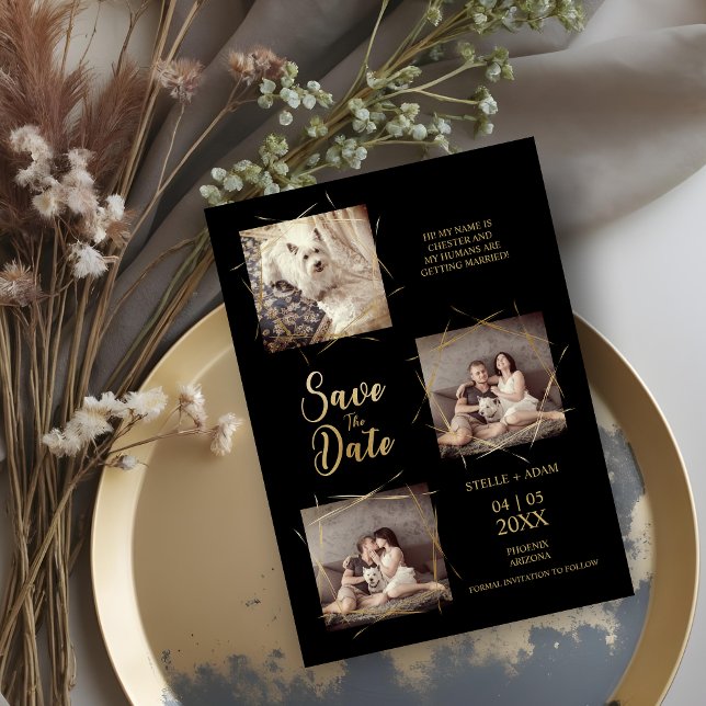 Pet Black Snyggt Modern Calligraphy 3-Photo (Pet Black Stylish Modern Calligraphy 3-Photo Save the Date Cards.)