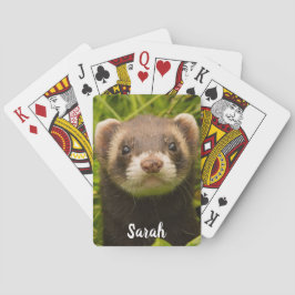 Pet Brown Bandit Ferret i Grass Casinokort