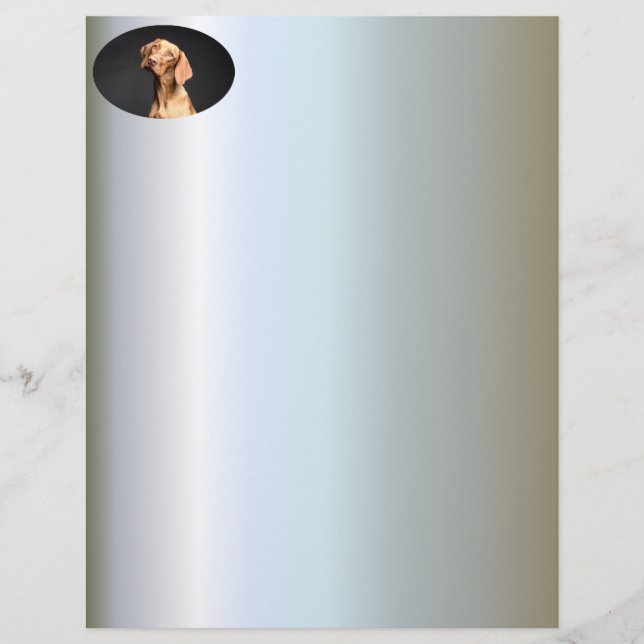 Pet Brown Beagle Hund (Framsida)