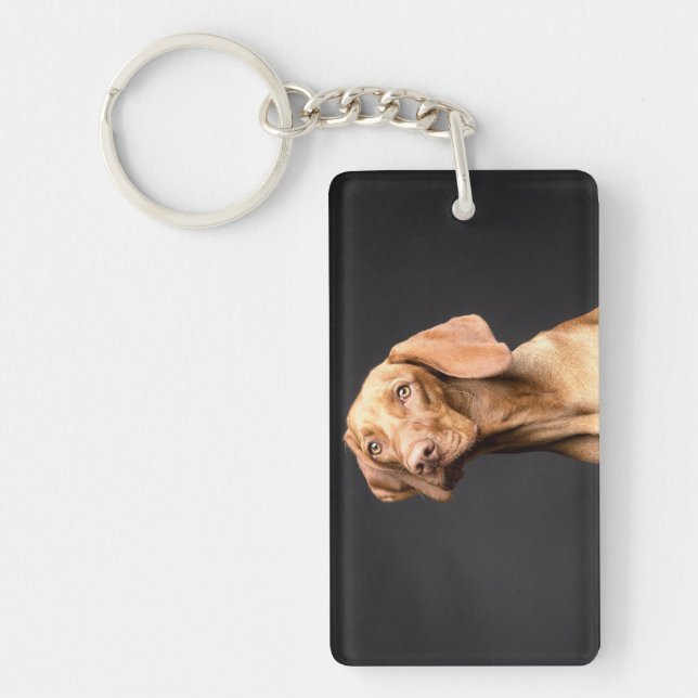 Pet Brown Beagle Hund (Framsidan)