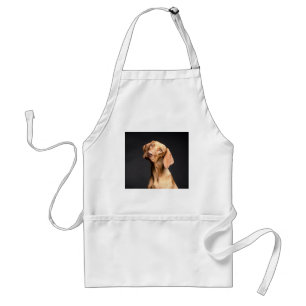 Pet Brown Beagle Hund Förkläde
