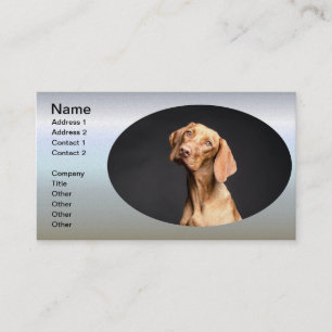 Pet Brown Beagle Hund Visitkort