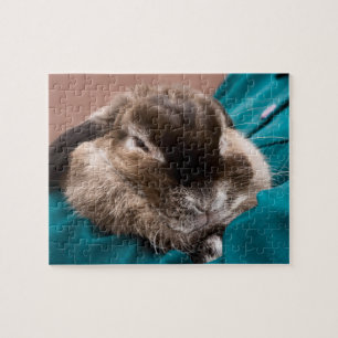 Pet Bunny Pussel