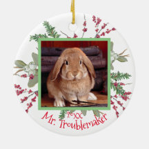 Pet Bunny Rabbit jul Photo Santa Cute Anpassningsb