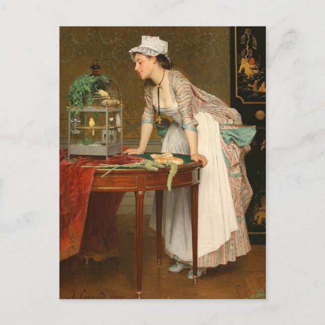 Pet Canaries - Caraud Vykort (Framsida)