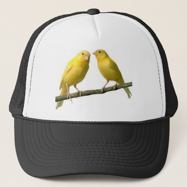 Pet Canary Bird Merchandise Keps (Framsida)
