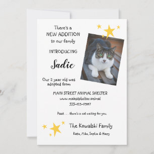 Pet Cat Adoption New Pet Announting Flat Card Meddelande