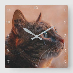 Pet Cat Fyrkantig Klocka