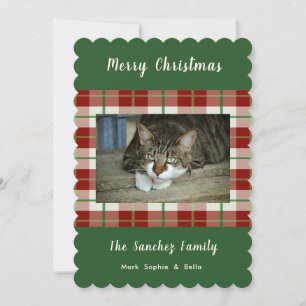 Pet Cat Hund - Helgdag - julklapp - platt foto Julkort
