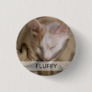 Pet Cat Hund Photo Namn Knapp