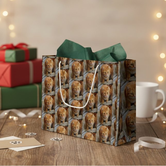 Pet Cat Hund Photo Personalize Anpassningsbar (Skapare uppladdad)