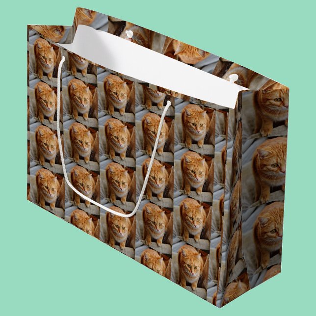 Pet Cat Hund Photo Personalize Anpassningsbar (Skapare uppladdad)