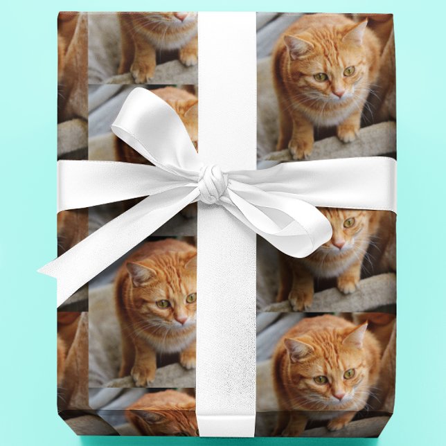 Pet Cat Hund Photo Personalize Anpassningsbar Presentpapper (Skapare uppladdad)