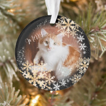 Pet Cat jul Black Guld Ornament