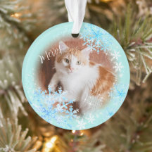 Pet Cat-julbalen Ornament