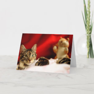 Pet Cat-julkort Helgkort