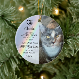 Pet Cat Memorial Adjote Photo Rainbow Julgransprydnad Keramik