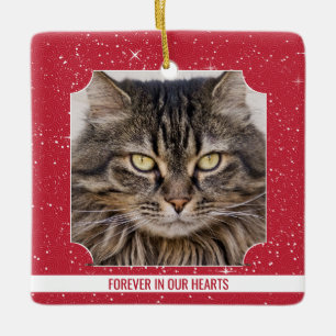 Pet Cat Memorial Red Snö Photo jul Julgransprydnad Keramik
