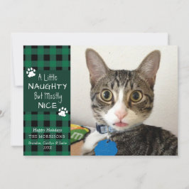 Pet Cat Naughty and Nice Grönt Black Play Julkort