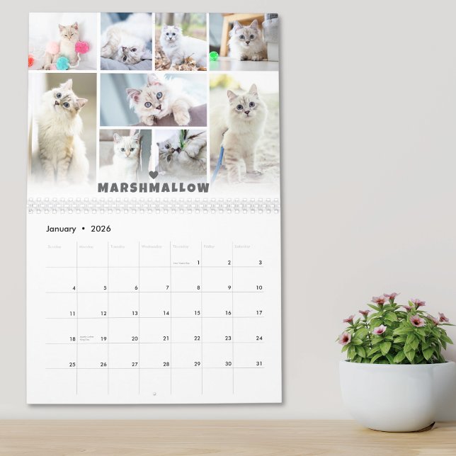 Pet Cat Photo Collage Calendar Kalender (Pet Cat Photo Collage Calendar)