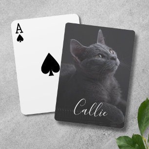 Pet Cat Photo Namn Casinokort