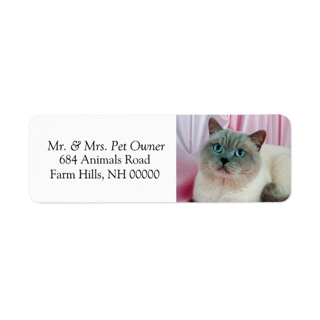 Pet Cat Returetiketters Stickers Returadress Etikett (Framsidan)
