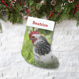 Pet Chicken Älskare Photo and Namn Personlig Liten Julstrumpa