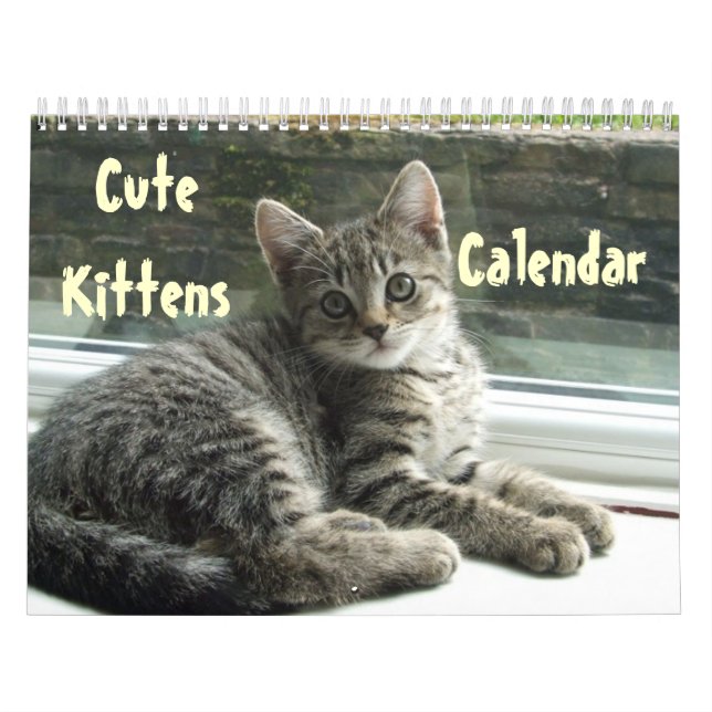 Pet Cute Kitten Cat Peace Kärlek Destiny Kalender (Omslag)