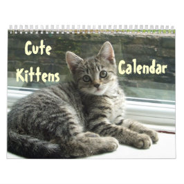 Pet Cute Kitten Cat Peace Kärlek Destiny Kalender