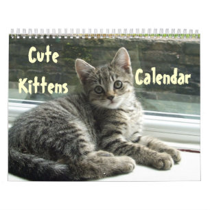 Pet Cute Kitten Cat Peace Kärlek Destiny Kalender