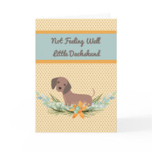 Pet Dachshund Hämta Polka dots och blommor med käl