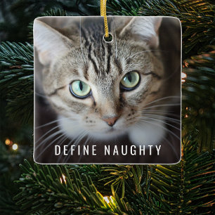 Pet Define Naughty   Foto Julgran Julgransprydnad Keramik
