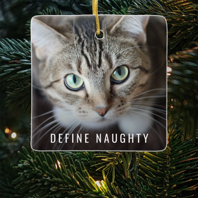 Pet Define Naughty | Foto Julgran Julgransprydnad Keramik (Skapare uppladdad)