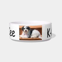 Pet Dish Medium, Hund K-Cee