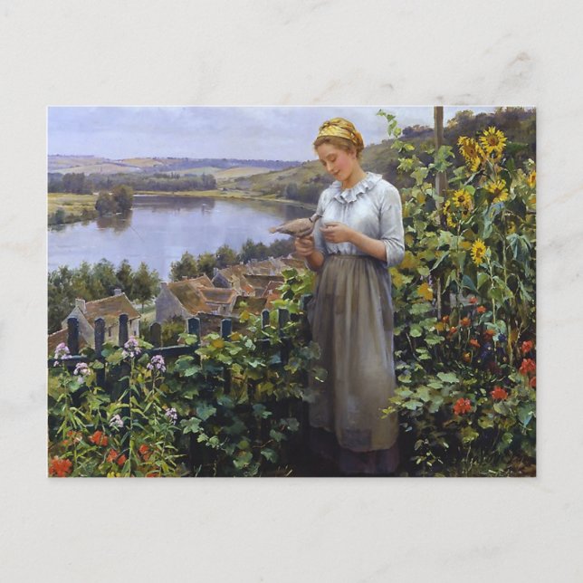 Pet Dove Postcard - Daniel Ridgway Knight Vykort (Framsida)