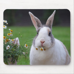 Pet Dutch Bunny Rabbit med blommor Musmatta
