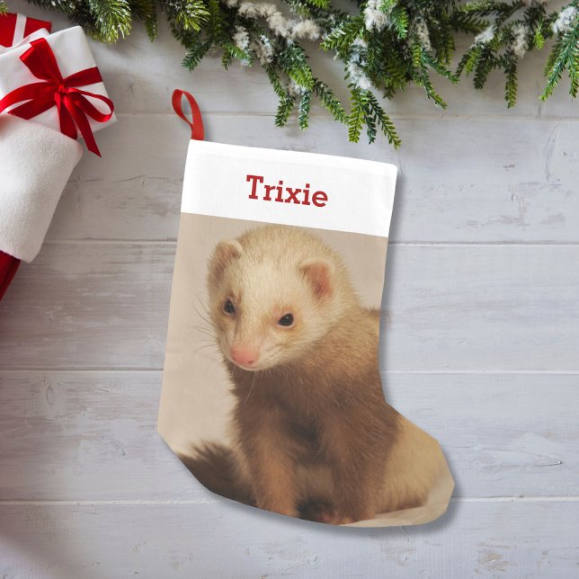 Pet Ferret Älskare Photo och Namn Personlig Liten Julstrumpa (Skapare uppladdad)