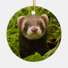 Pet Ferret i Grass Julgransprydnad Keramik