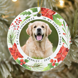 Pet First jul For Home Wand Hund Photo Julgransprydnad Keramik