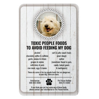 Pet Food Safety Dangerous People Foods to Avoid 2 Magnet