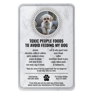 Pet Food Safety Toxic Foods for Dogs to Avoid Magnet