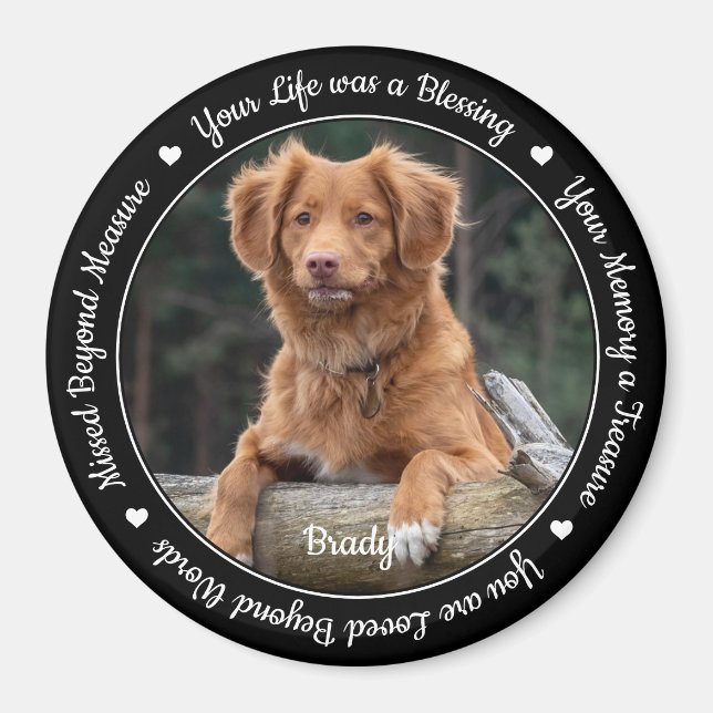 Pet-förlustminne Keepsaké Hund Pet Memorial Magnet (Framsidan)