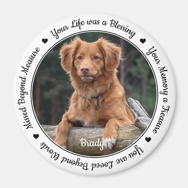 Pet-förlustsympati Keepsaket Pet Memorial Magnet (Framsidan)