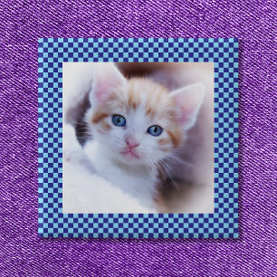 Pet-foto för blå kontroll i familjen Gräns Knapp