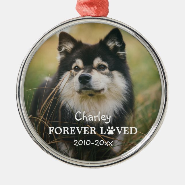 Pet-foto för Forever Loved Paw Julgransprydnad Metall (Framsidan)