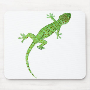 Pet Gecko Lizard-design Musmatta