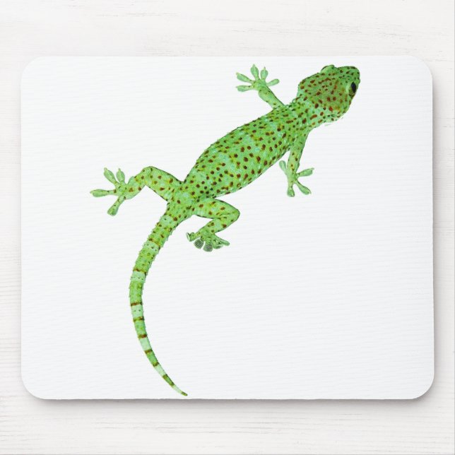 Pet Gecko Lizard-design Musmatta (Framsidan)