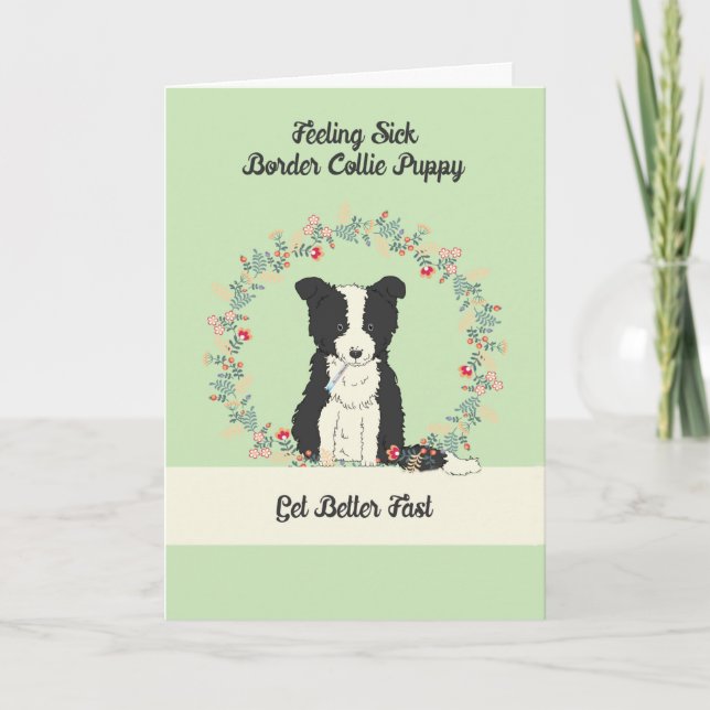 Pet Get well Card för Gräns Collie Puppy Kort (Framsida)
